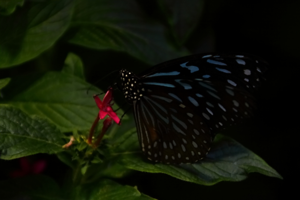 2012 08 03 9999 173